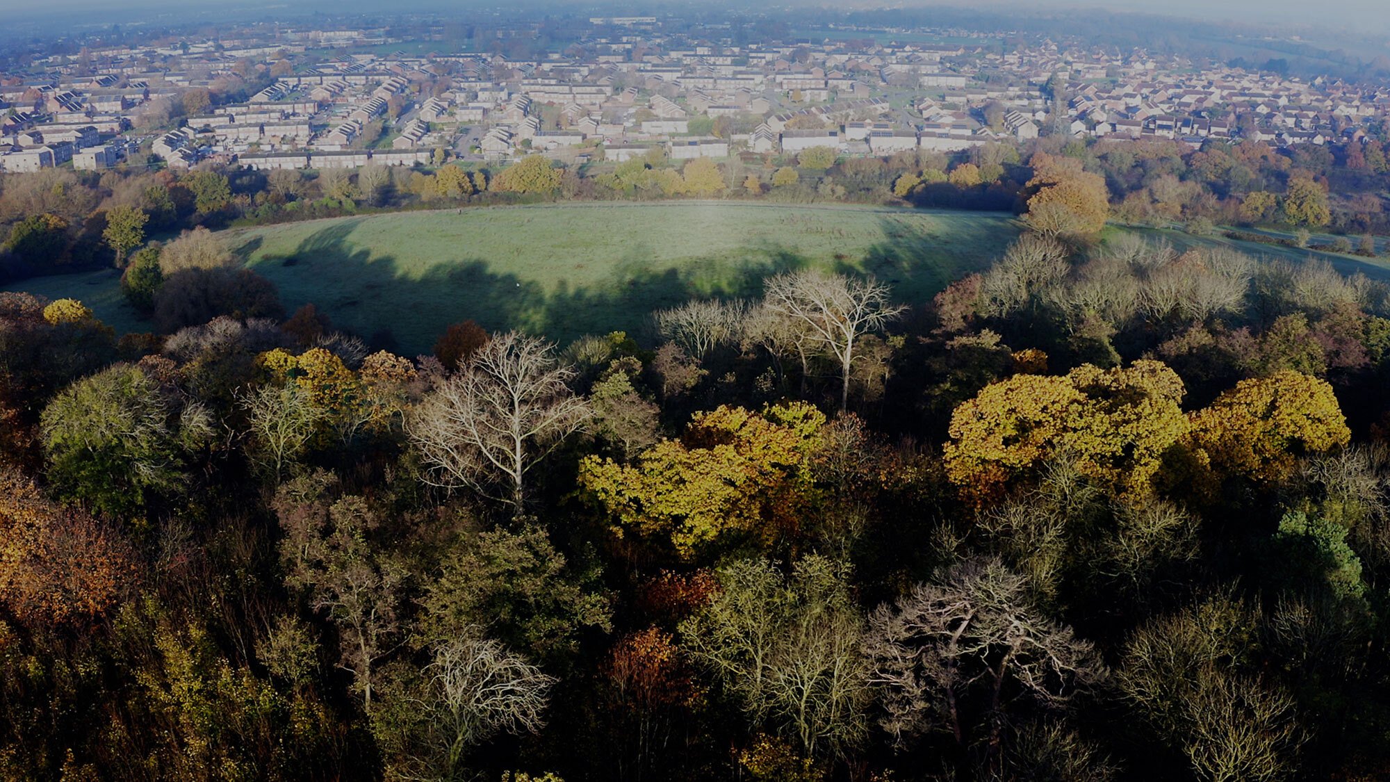 Colchester Garden Community Haworth Tompkins