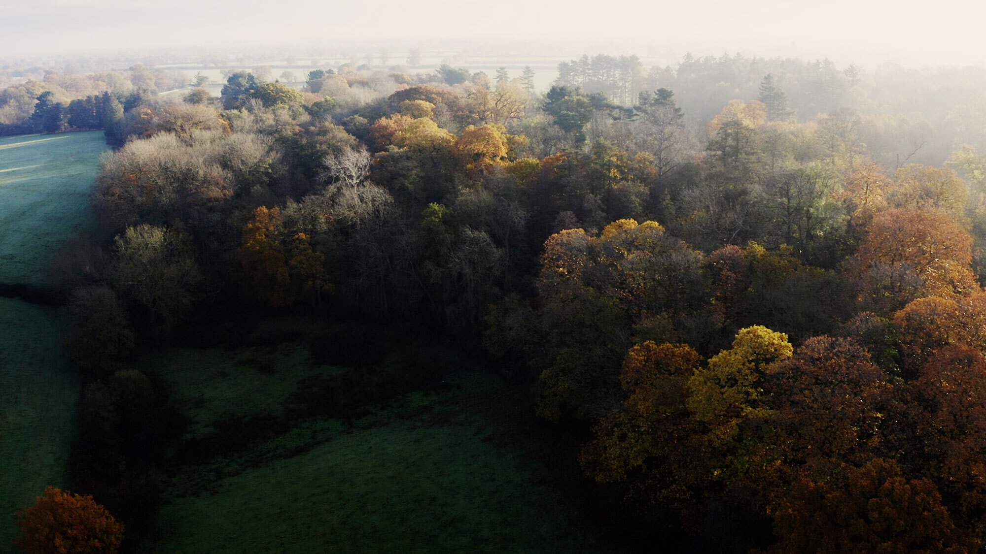 Colchester Garden Community Haworth Tompkins