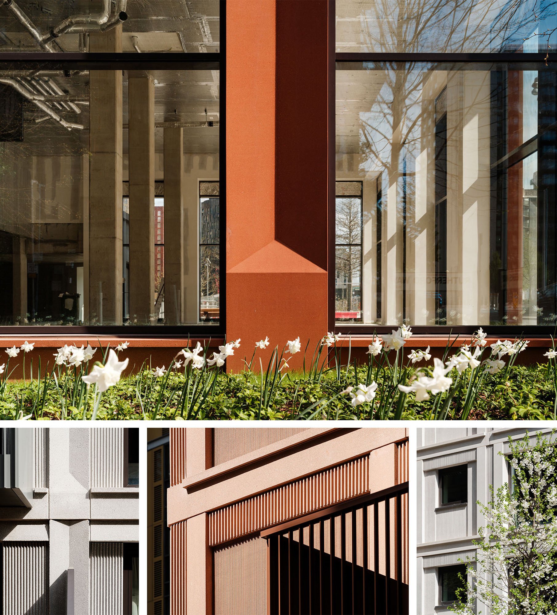 Lunar and Solar by Haworth Tompkins