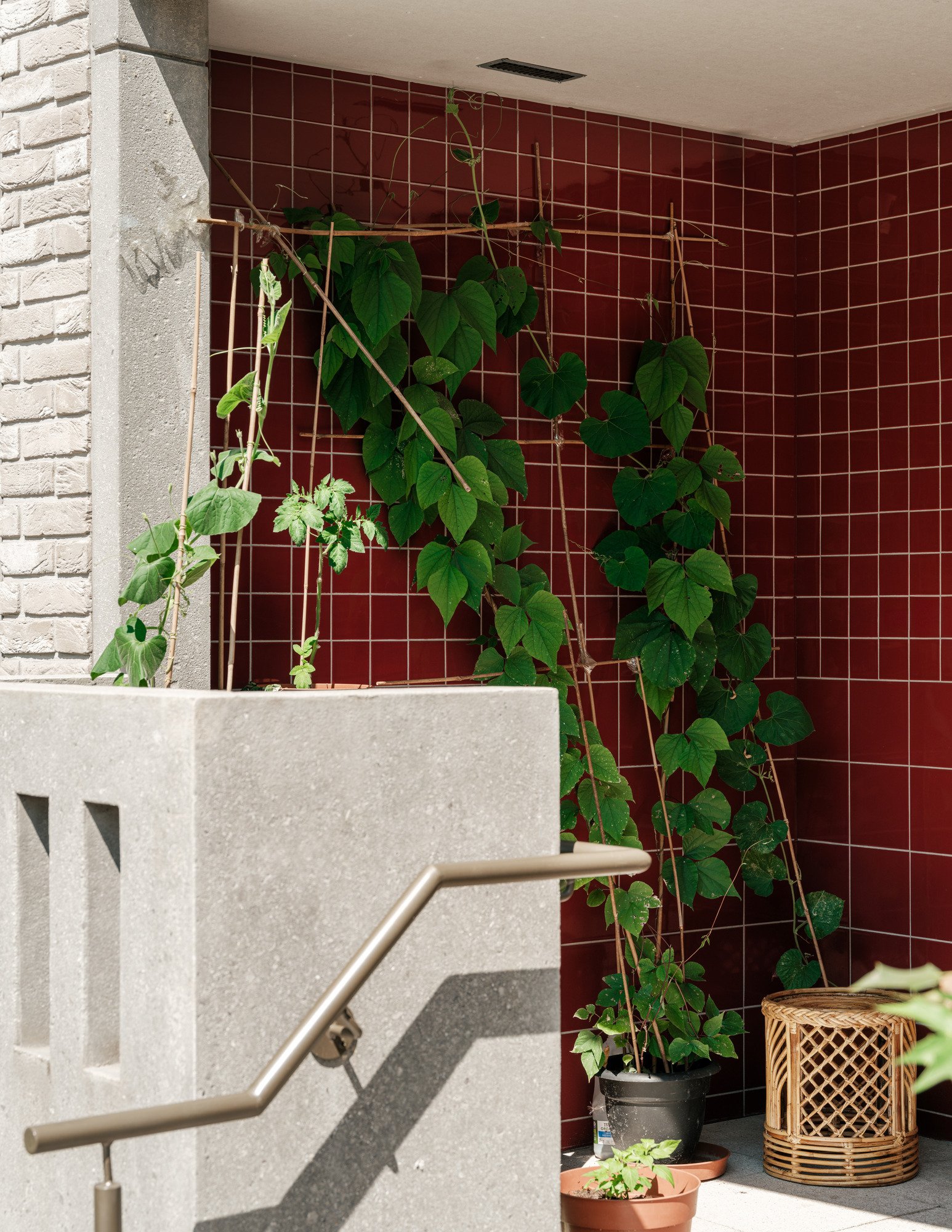 Blackwall Reach Haworth Tompkins