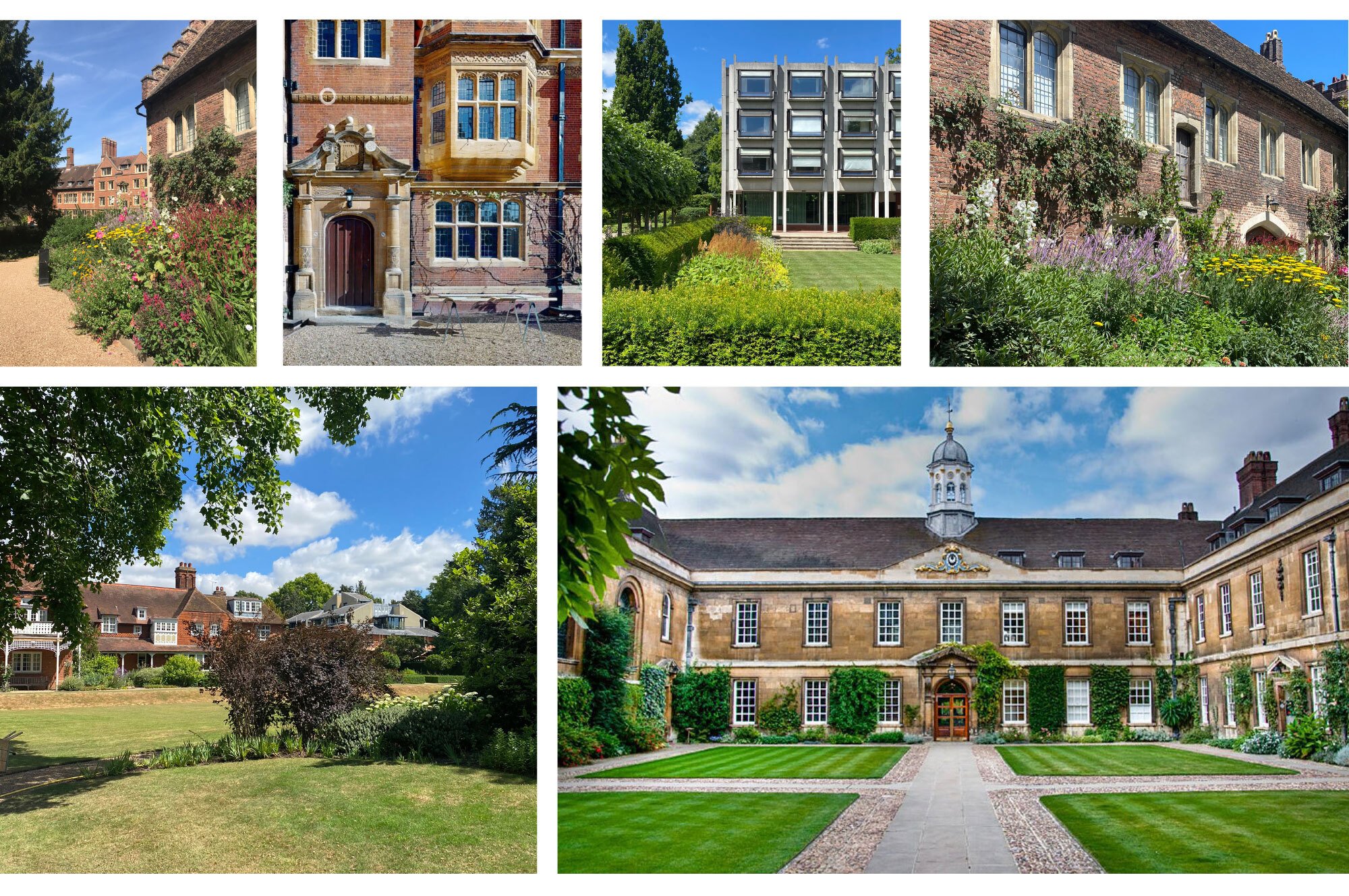 Trinity Hall strategic multi-site masterplan and decarbonisation study by Haworth Tompkins